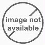 LifeSource 11-007 Medium Bladder for UA-200 Sphygmomanometers