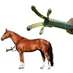 InstaPulse 109  horse Equine HRM Heart Rate Monitor